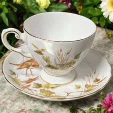 Vintage Tuscan Bone China Cup & Saucer Audubon Birds Robin Redbreast England