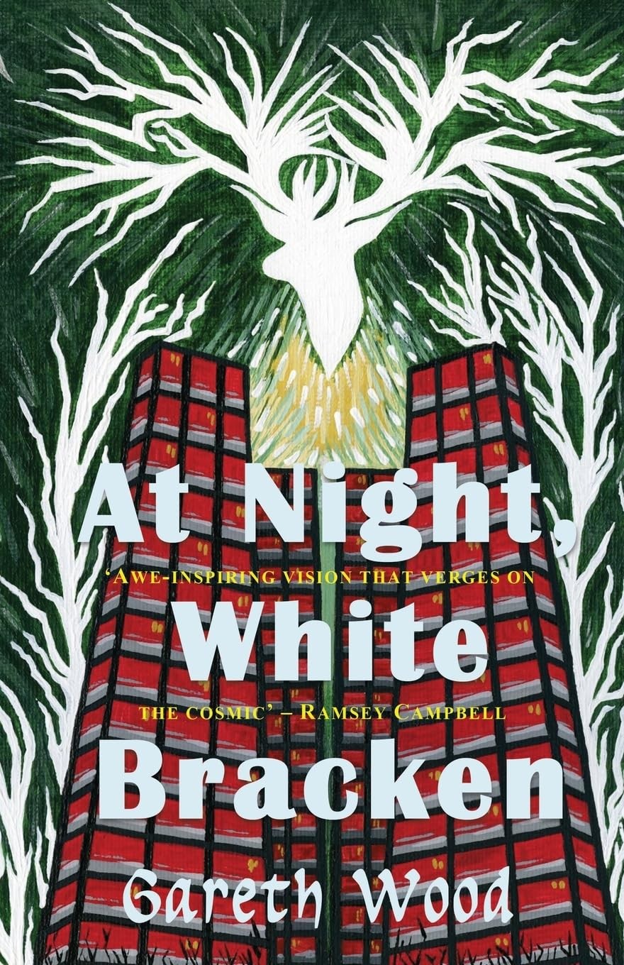 At Night White Bracken - Image 4
