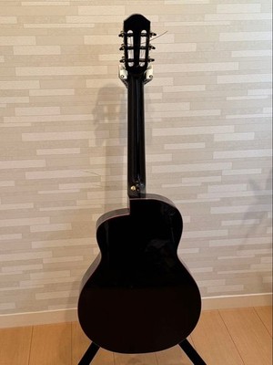 Acoustic Guitar aNueNue aNN-LN77E | eBay