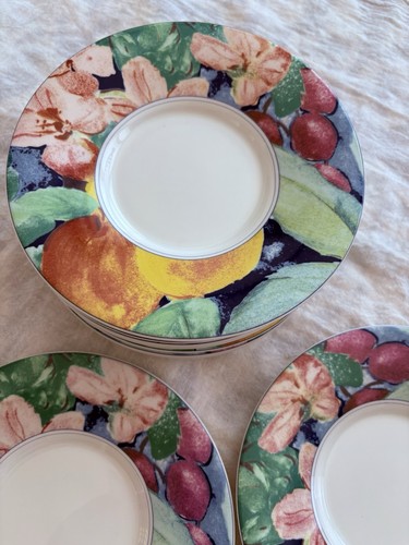 10 Mikasa Maxima Exotic Garden CAK26 Super Strong Fine China 6 3/8" Untertassen - Bild 7 von 10