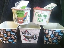 Priscilla's Pet Grass, Catnip Or Pet Grass Grow Kit, Planters In Stock In USA