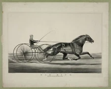 8" x 10" Photo 'Dan Rice': Owned by T.M. Lyom Portsmouth, Ohio