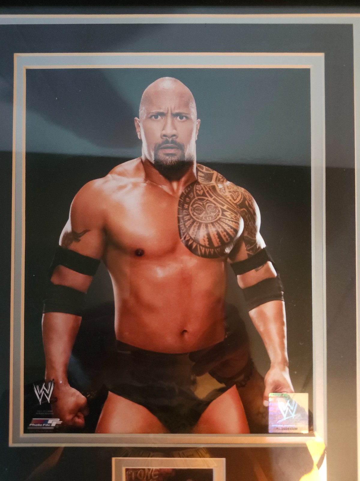 OFFICAILLY LICENSED WWE 2012 Dwayne "The Rock" Johnson Framed Pix & Card - NICE! view 3