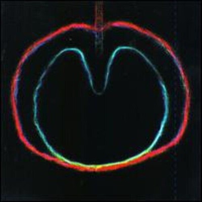 Wasp Star Apple Venus 2 CD