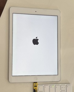 Apple iPad Air 32GB WiFi+Cellular Weiß A1475 Spender Defekt - Display Lcd Etc Ok