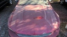 Hood Excluding Shelby Gt 500 With Hood Scoop Fits 10-12 Mustang 1830534