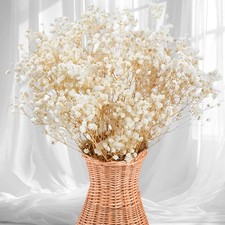 2500 Dried Babys Breath Flowers Bulk - 17" Ivory White 2500,