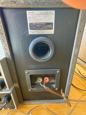 Sony Mds-sd1 Minidisc MD Deck Player Recorder Japan 100v for sale