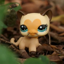 Littlest Pet Shop Shorthair Cat LPS Cute Figure for Kid Xmas/Birthday Cute Gift