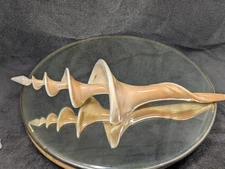 Syrinx Aruanus Shell Sculpture- RARE Fully Open Helix Spiral Hand Carved +16Inch