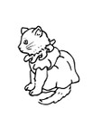 bunnypuff7