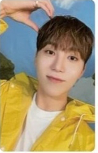 SEVENTEEN SEVENTEENTH HEAVEN STANDARD CARAT ver. OFFICIAL PHOTO CARD - Picture 122 of 130