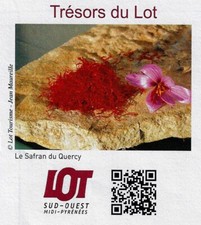 France, PAP 2019, le safran du Quercy épice flore Crocus gastronomie colorant