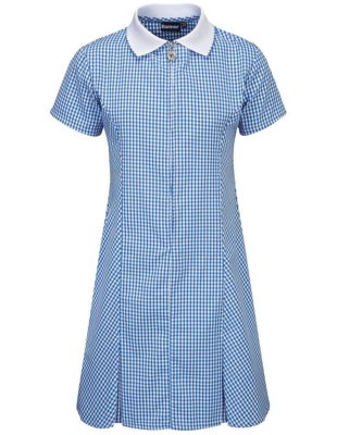 zip up gingham school dress