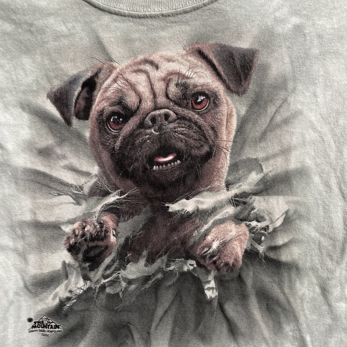 The Mountain Youth Crop T Shirt Teal Pug Graphic Medium Crew Neck