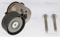 Triscan Riemenspanner Keilrippenriemen 8641 253005 FüR Renault Megane Clio CC 2