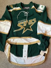 Iowa Stars Hockey fights Authentic Dallas Ree...