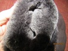Bild 5 von 5