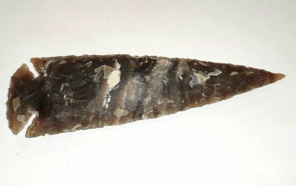 Bild 1 von 5