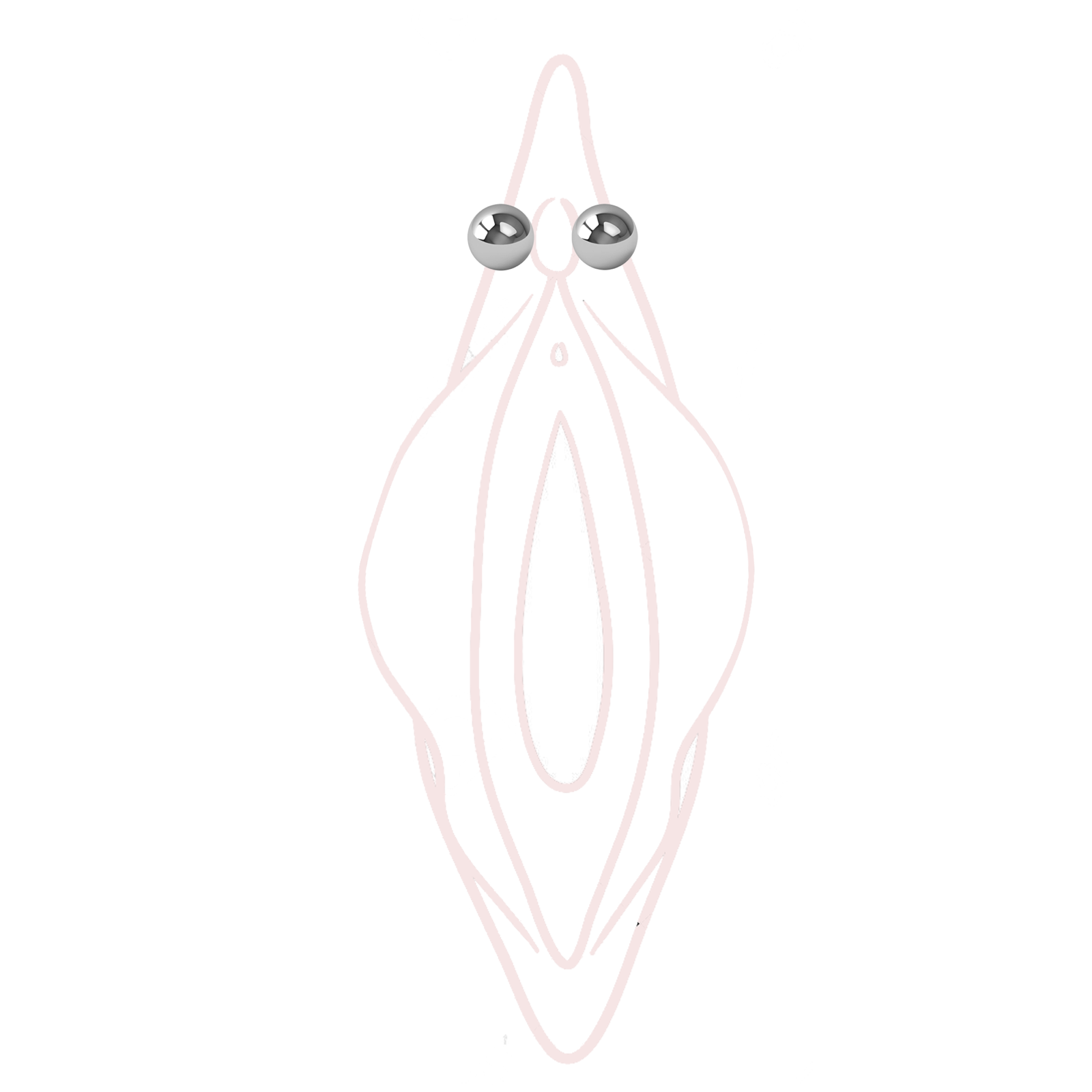 Fake Clitoral Hood Piercing Magnetic Body Jewelry (Non-Piercing) | eBay