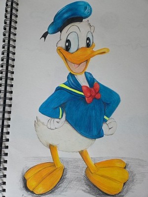 Original Farbstifte Zeichnung, ''Donald Duck'', Beschreibung lesen