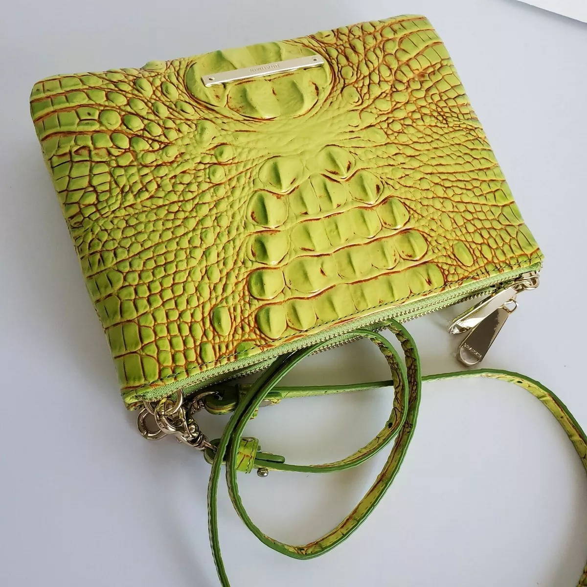 Brahmin perri online