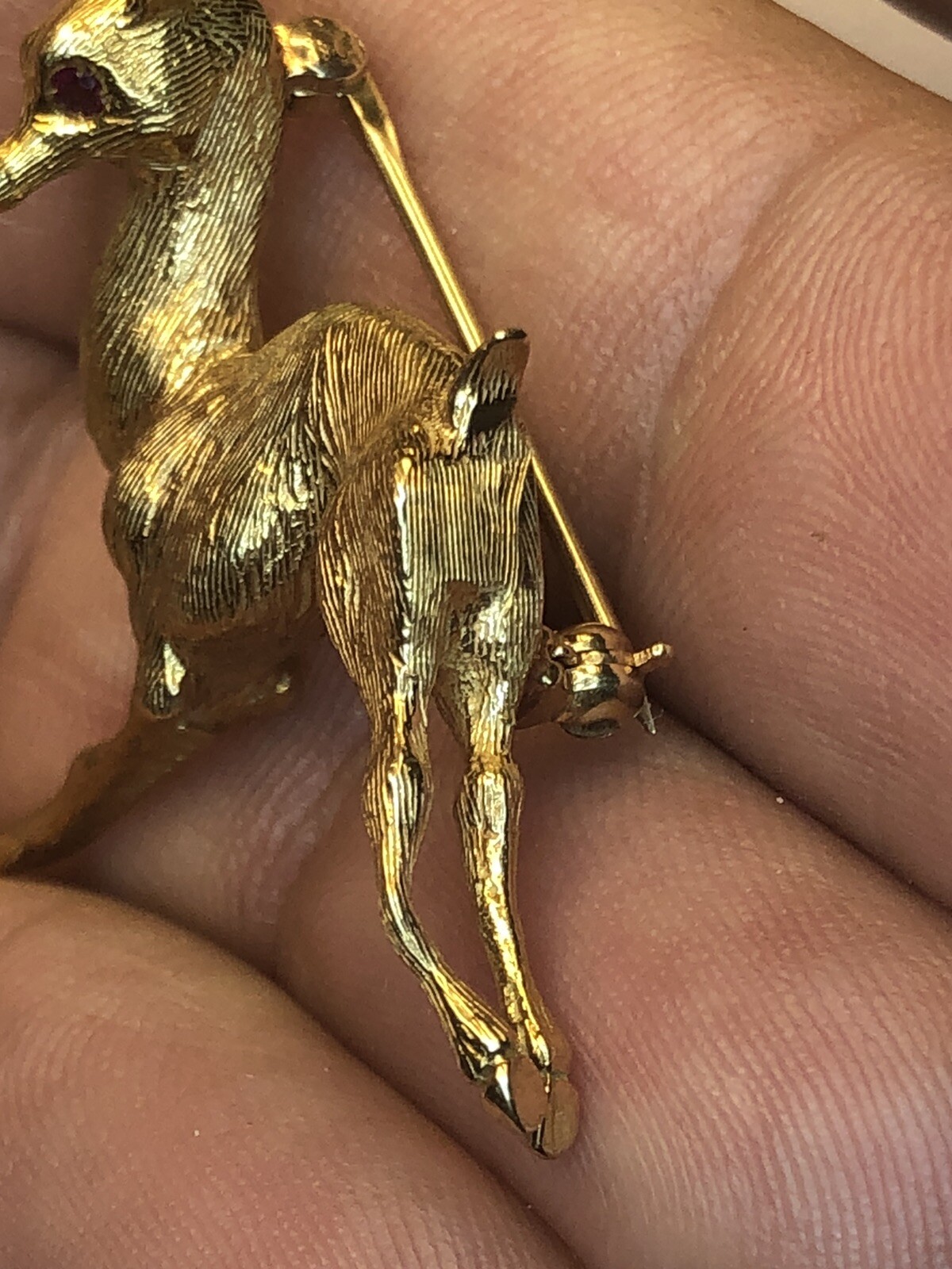 Picture 6 of 11