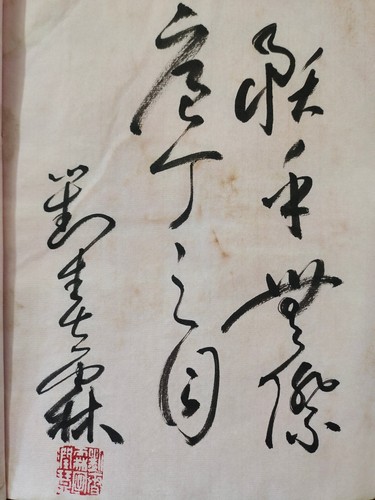 Álbum de encuadernación de hilo de caligrafía escrita a mano de caligrafía de Liu Chunlin - Imagen 3 de 9