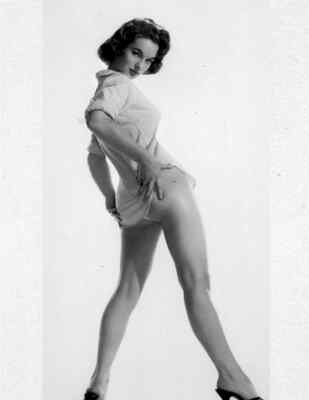 English Actress SHIRLEY ANNE FIELD Publicity Picture Photo Print 13''x19''