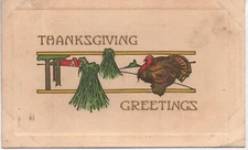 Postcard - Thanksgiving - Turkey in a Field - Posted 1911