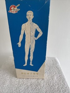 Vintage Chinese Acupuncture Points Model of a Human Body Good Health China 