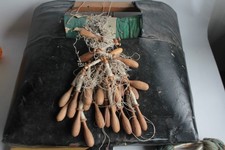 Carreau de dentellière à roue + fuseaux + revues Puy en Velay 2003 (60920)