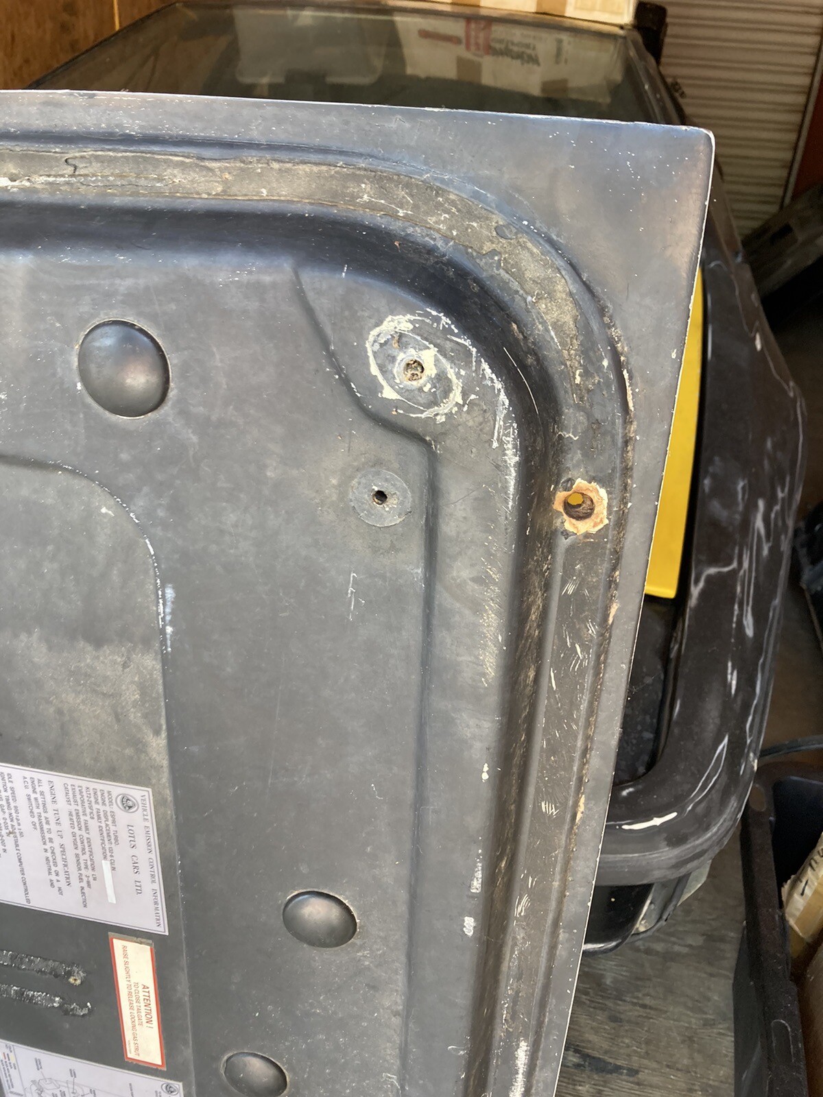 Lotus Esprit Turbo Rear Hatch