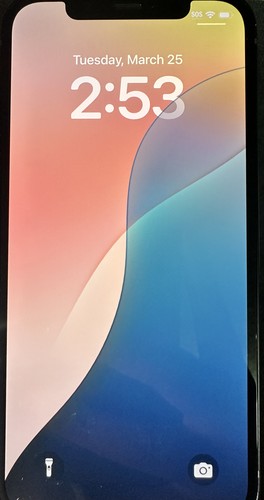 Apple iPhone 12 - 64 GB - Black (Unlocked)