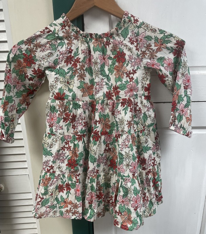 Crew Cuts girls LS floral lined dress youth sz 4
