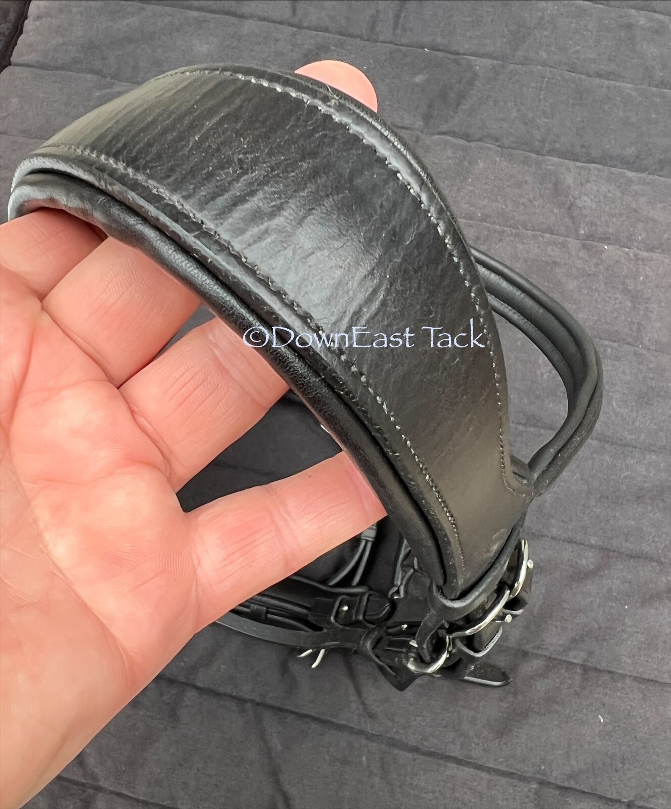 Cob-size ANTARES Original Design Dressage Double bridle - Lovely! Retail $600+