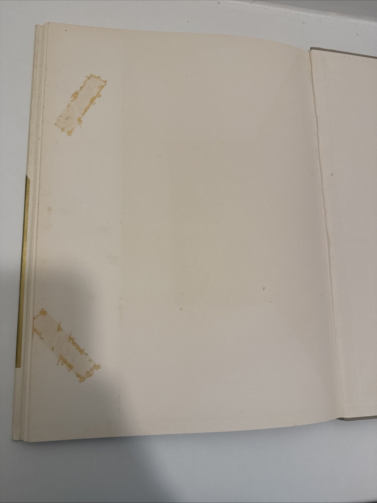 Picture 18 of 23