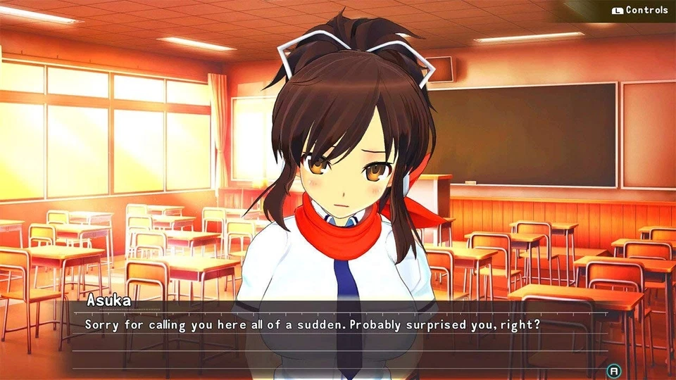 Senran Kagura Reflexions (Nintendo Switch, 2018) - Image 2 of 3
