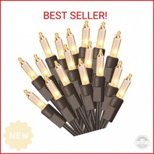 ODEETRONIC Clear Christmas Lights String, 21.63ft 100 Count Incandescent Brown W