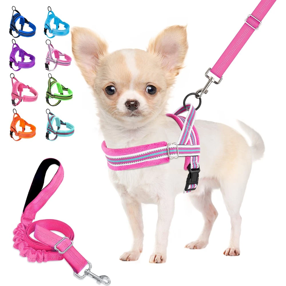 Dog Harness and Leash Set, Soft Padded Small Dog Harness, Neck & Chest Adjust...