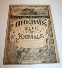 Antique BREHM'S Life of Animals 1895 Illustrated Part 16 Squirrels and Mice