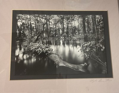 Clyde Butcher Signed Photograph Loxahatchee River #1  Framed  9.5  X 6.5  Photo