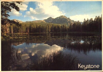 VINTG Postcard 198_ Landscape KEYSTONE CO Sinclair Lewis 14¢Stamp PIC: J Simpson