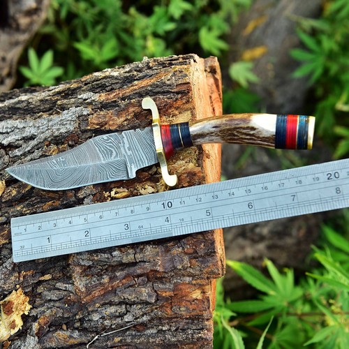 CUSTOM HANDMADE DAMASCUS FEDER STEEL BOWIE KNIFE HANDLE STAG Antler Survival - Picture 5 of 6