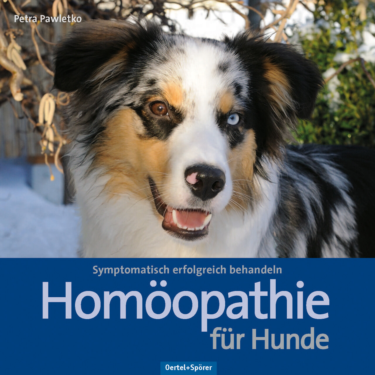 Thumbnail - Petra Pawletko / Homöopathie Für Hunde