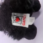 Foto 6 di 7