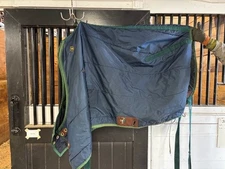 Big D, Medium Horse Blanket