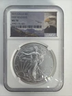 2015 American Silver Eagle NGC MS70 First Releases Eagle Label .999