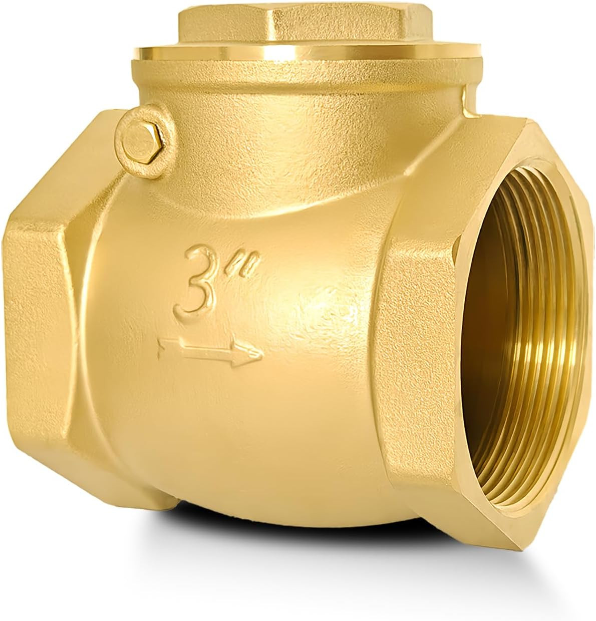 3" NPT Horizontal Swing Check Valve, Brass, Heavy-Duty Female Thread, DN80