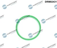 Dichtring, Ladeluftschlauch - Dr.Motor Automotive DRM02431